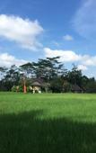 Туры в отель Puri Raya Villa Ubud Туры в отель Puri Raya Villa Ubud