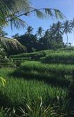 Туры в отель Puri Raya Villa Ubud Туры в отель Puri Raya Villa Ubud