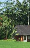 Туры в отель Puri Raya Villa Ubud Туры в отель Puri Raya Villa Ubud