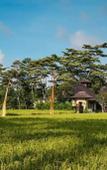 Туры в отель Puri Raya Villa Ubud Туры в отель Puri Raya Villa Ubud
