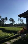 Туры в отель Puri Raya Villa Ubud Туры в отель Puri Raya Villa Ubud