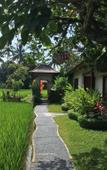 Туры в отель Puri Raya Villa Ubud Туры в отель Puri Raya Villa Ubud