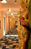 Туры в отель Season Suite Apart-Hotel Туры в отель Season Suite Apart-Hotel