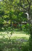 Туры в отель Minh Vuong Village Resort Phu Quoc Туры в отель Minh Vuong Village Resort Phu Quoc
