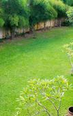 Туры в отель Villa White Queen Туры в отель Villa White Queen