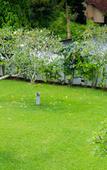 Туры в отель Villa White Queen Туры в отель Villa White Queen