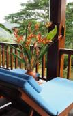 Туры в отель Niyagama House Туры в отель Niyagama House