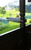 Туры в отель Alpe Туры в отель Alpe