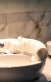 Туры в отель Silver Suites Hotel & Spa Туры в отель Silver Suites Hotel & Spa