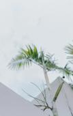 Туры в отель Berutz Villa Canggu Туры в отель Berutz Villa Canggu