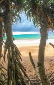Туры в отель Leather Back Beach Villa Туры в отель Leather Back Beach Villa