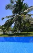 Туры в отель Elevated Family Beach House With Ocean Views Туры в отель Elevated Family Beach House With Ocean Views