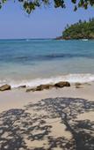 Туры в отель Elevated Family Beach House With Ocean Views Туры в отель Elevated Family Beach House With Ocean Views