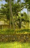 Туры в отель Dutch Colonial Period Villa In Contemporary Style Туры в отель Dutch Colonial Period Villa In Contemporary Style