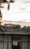 Туры в отель Ethereal Athens Туры в отель Ethereal Athens