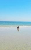 Туры в отель Baan Kang Mung Hua Hin On The Beach Туры в отель Baan Kang Mung Hua Hin On The Beach