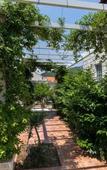 Туры в отель Villa Zaton Imperial Туры в отель Villa Zaton Imperial