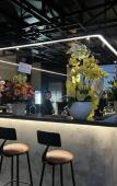 Туры в отель The Arrivals Hotel Туры в отель The Arrivals Hotel