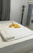 Туры в отель Falcon Pyramids Inn Туры в отель Falcon Pyramids Inn