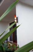 Туры в отель The luxe villas lombok Туры в отель The luxe villas lombok
