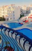 Туры в отель Sharm Hills Resort Туры в отель Sharm Hills Resort