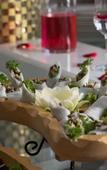 Туры в отель Verdure Lotus Grandeur Cruise Туры в отель Verdure Lotus Grandeur Cruise