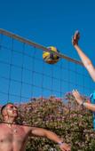 Туры в отель The Garden Beach Hotel Туры в отель The Garden Beach Hotel