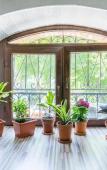 Туры в отель H&B Apartments Akhvelediani II Туры в отель H&B Apartments Akhvelediani II