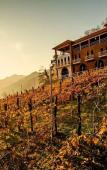 Туры в отель Hotel Chateau Iveri Туры в отель Hotel Chateau Iveri