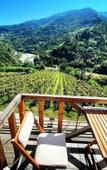 Туры в отель Hotel Chateau Iveri Туры в отель Hotel Chateau Iveri