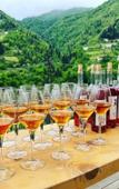Туры в отель Hotel Chateau Iveri Туры в отель Hotel Chateau Iveri