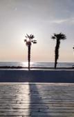 Туры в отель Dreamland Oasis Туры в отель Dreamland Oasis