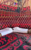 Туры в отель Hostel Yurt Camp Green Camp Туры в отель Hostel Yurt Camp Green Camp
