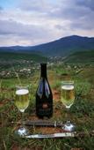 Туры в отель Chateau Ateni Cottages Туры в отель Chateau Ateni Cottages