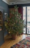 Туры в отель Hotel Stancia Kazbegi Туры в отель Hotel Stancia Kazbegi