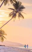 Туры в отель Sea Sky Luxury Absolute Beachfront Villa Villa Туры в отель Sea Sky Luxury Absolute Beachfront Villa Villa