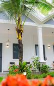 Туры в отель NatalieLe's Homestay Туры в отель NatalieLe's Homestay