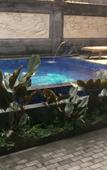 Туры в отель Warji House 2 Bungalows Туры в отель Warji House 2 Bungalows