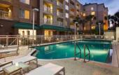 Туры в отель Courtyard Orlando Downtown Туры в отель Courtyard Orlando Downtown