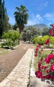 Туры в отель Olympos Angels Garden Туры в отель Olympos Angels Garden