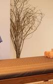 Туры в отель Ampersand Resort Туры в отель Ampersand Resort