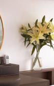Туры в отель The Cosy Inn Hanoi Hotel Туры в отель The Cosy Inn Hanoi Hotel