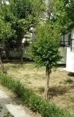 Туры в отель Oznur Apart Otel Туры в отель Oznur Apart Otel