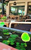 Туры в отель JALMIN Samui Hotel Туры в отель JALMIN Samui Hotel