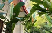 Туры в отель Jungle Hostel El Nido Туры в отель Jungle Hostel El Nido