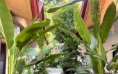 Туры в отель Jungle Hostel El Nido Туры в отель Jungle Hostel El Nido