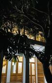 Туры в отель Sigiri Holiday Bungalow Туры в отель Sigiri Holiday Bungalow
