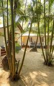 Туры в отель Feather Touch Hotels and Resorts Palolem Туры в отель Feather Touch Hotels and Resorts Palolem