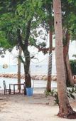 Туры в отель Cay Sao Phu Quoc Туры в отель Cay Sao Phu Quoc