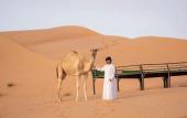 Туры в отель Bedouin Nighets Camp Туры в отель Bedouin Nighets Camp